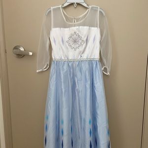Disney Elsa Dress/Costume